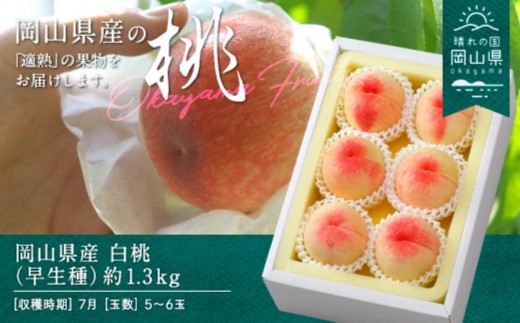 桃 2026年 岡山県産 白桃（早生種） 約1.3kg 5～6玉（クール便）【白桃 桃 もも 果物 フルーツ 新鮮 岡山県産 おすすめ 人気 ギフト 岡山県 岡山市】