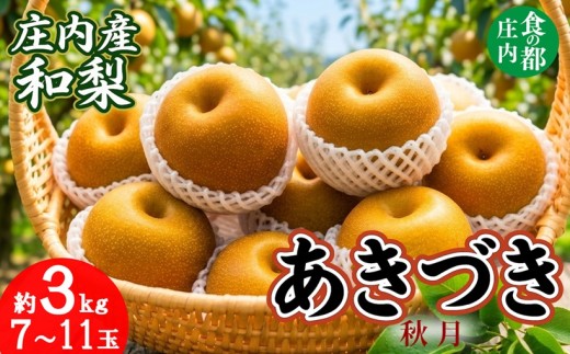 【令和8年産】食の都庄内　庄内産和梨【あきづき】約3kg　※令和8年9月中旬～10月中旬配送