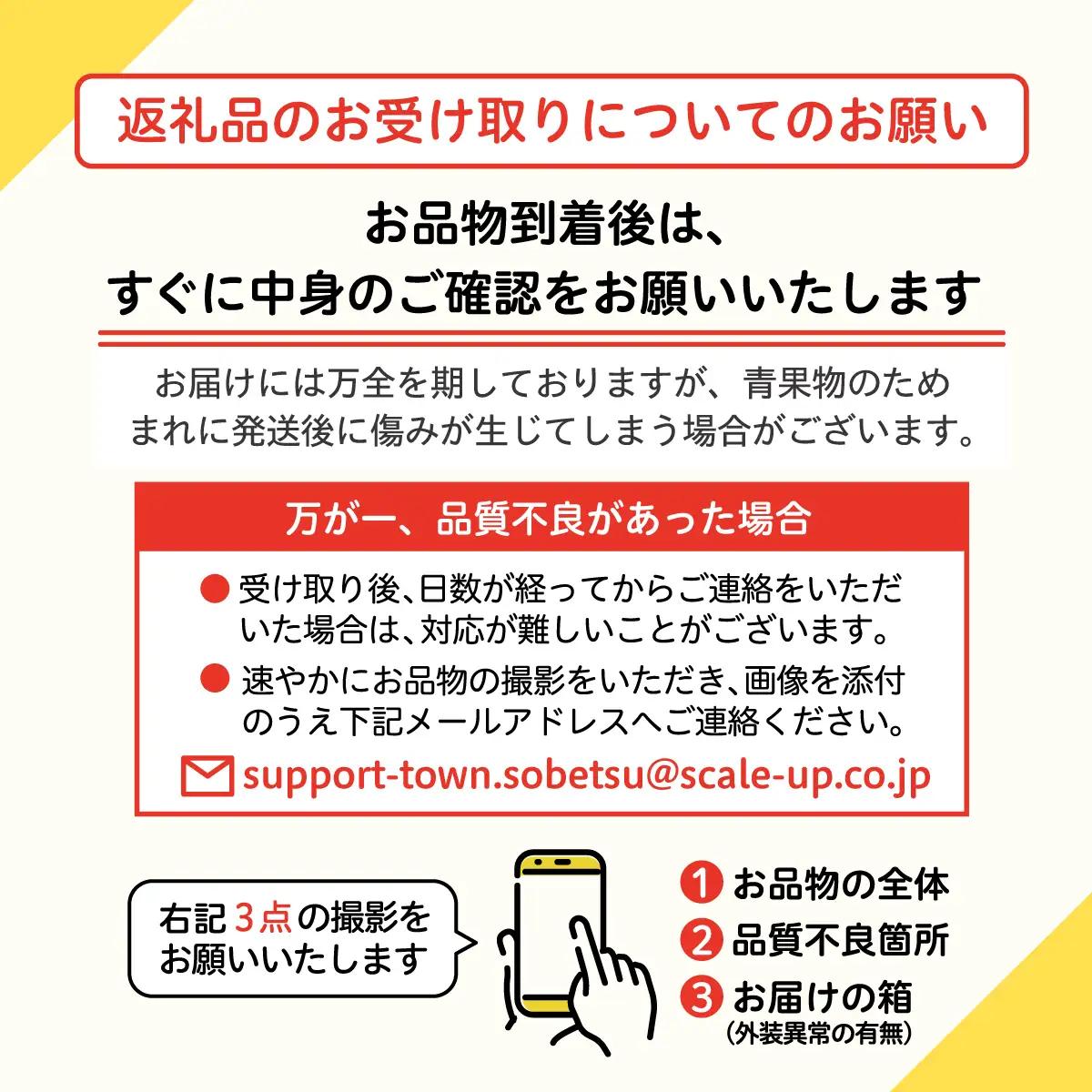 ＜2026年8月上旬より順次お届け＞北海道壮瞥産 とうもろこし（恵味ゴールド）約5kg SBTA001