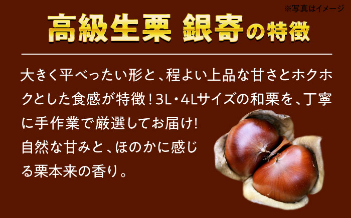 【先行予約】【9月中旬から順次発送】和栗の代表！上品な甘さ！あじさい農園の高級生栗「銀寄」（1kg）　愛媛県大洲市/あじさい農園 [AGAE010]くり クリ モンブラン マロン 秋の味覚 和菓子 栗