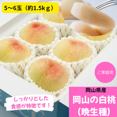 ご家庭用　白桃(晩生種)　 約1.5kg(5〜6玉)【配送不可地域：離島】【1493939】