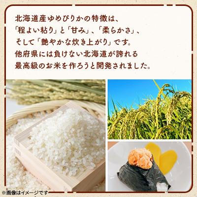ふるさと納税 美唄市 【北海道美唄産】令和7年産 ゆめぴりか 5kg (精米) |  | 01
