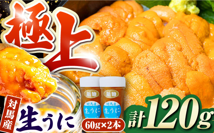 対馬産 生うに 60g×2本《対馬市》【保家商事】 うに ウニ 雲丹 生ウニ 海鮮 海産物 [WAA017]