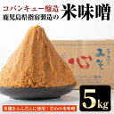 【ふるさと納税】鹿児島県指宿製造の米味噌(5kg)米 麹 手作り 保存料不使用【コバンキュー醸造】