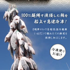 a30-175　総重量約1250g！天然本鮪三昧