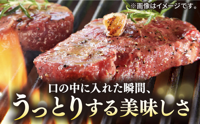 【全6回定期便】極上壱岐牛 A5 ランク ステーキ セット（ヒレ 200 g × 1 枚 サーロイン 350 g × 1 枚 ）雌《 壱岐市 》【 KRAZY MEAT 】長崎 [JER071]