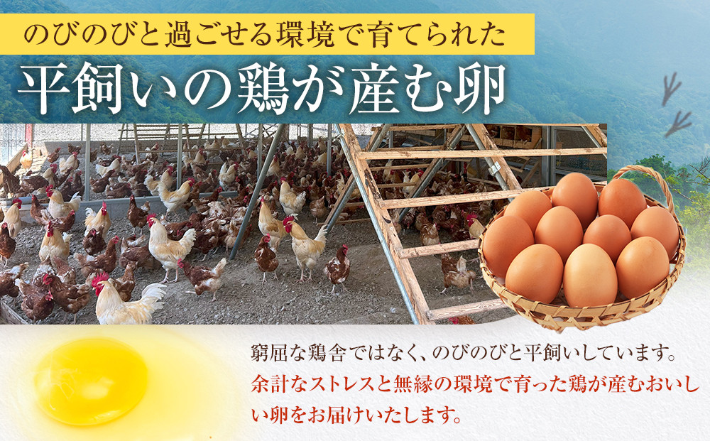 【定期便12か月】国産飼料にこだわった鶏が産む安全安心の 『レモン色たまご』60玉（55玉＋割れ保証5玉） ［Hn12］