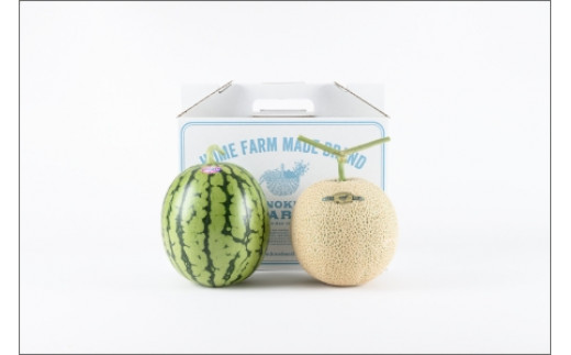 自農園産 マスクメロンと紅小玉スイカのセット《先行予約》2026年6月下旬から順次発送【配送不可地域：北海道 ・青森・秋田・岩手・沖縄・離島】