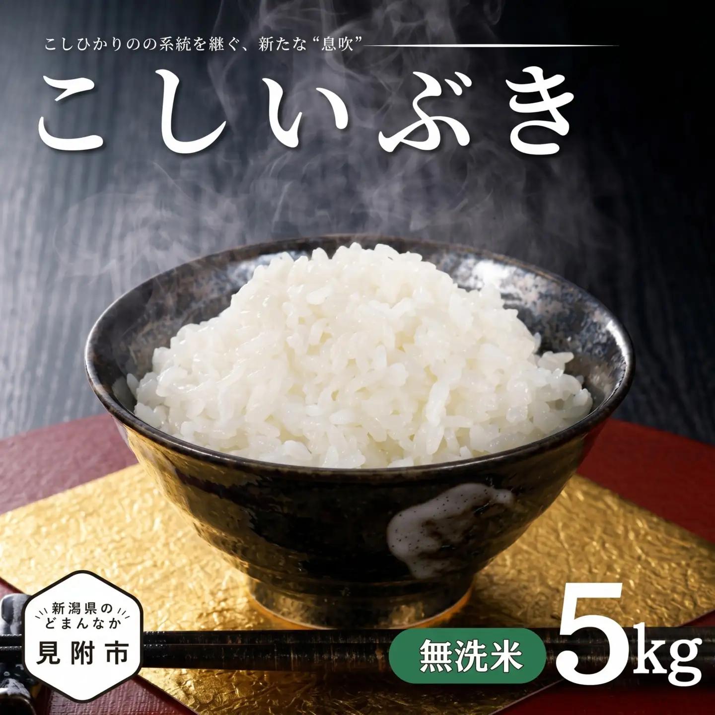米【令和7年産】こしいぶき 無洗米5kg