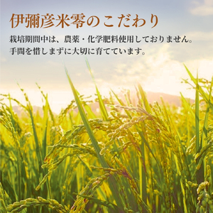 パックご飯 伊彌彦米零玄米パックごはん 皇室献上米 150g入り×12pac | パックご飯 パックごはん 新潟県