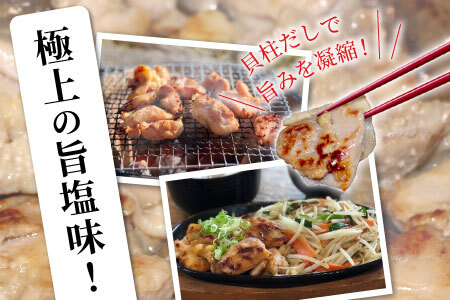 奥三河どり使用！ 田口塩鶏 味付け むね肉 1.2kg 塩ダレ ムネ肉 味付け肉 鶏肉 鶏 肉 キャンプ バーベキュー 味付け肉 大容量 手軽 焼くだけ 地鶏 焼肉 焼き鳥 -178