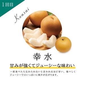 SE0234　【3回定期便】美味しい3種の刈屋梨2024 (幸水梨、豊水梨、あきづき梨または南水梨)