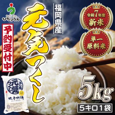 ふるさと納税 宗像市 新米先行受付! 元気つくし5kg【ほたるの里】_HA1788