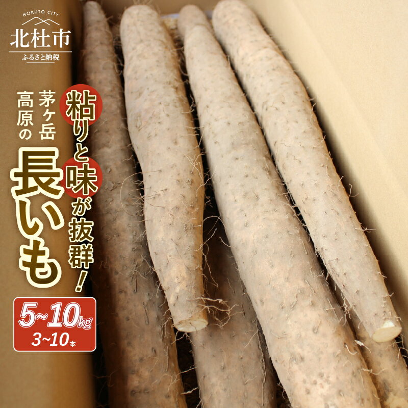 【ふるさと納税】 長芋 長いも 選べる容量 5kg 10kg 約3～10本 ながいも 山芋 野菜 とろろ 磯辺揚げ 粘り 期間限定 明野町 茅ヶ岳高原 山梨県 北杜市 送料無料