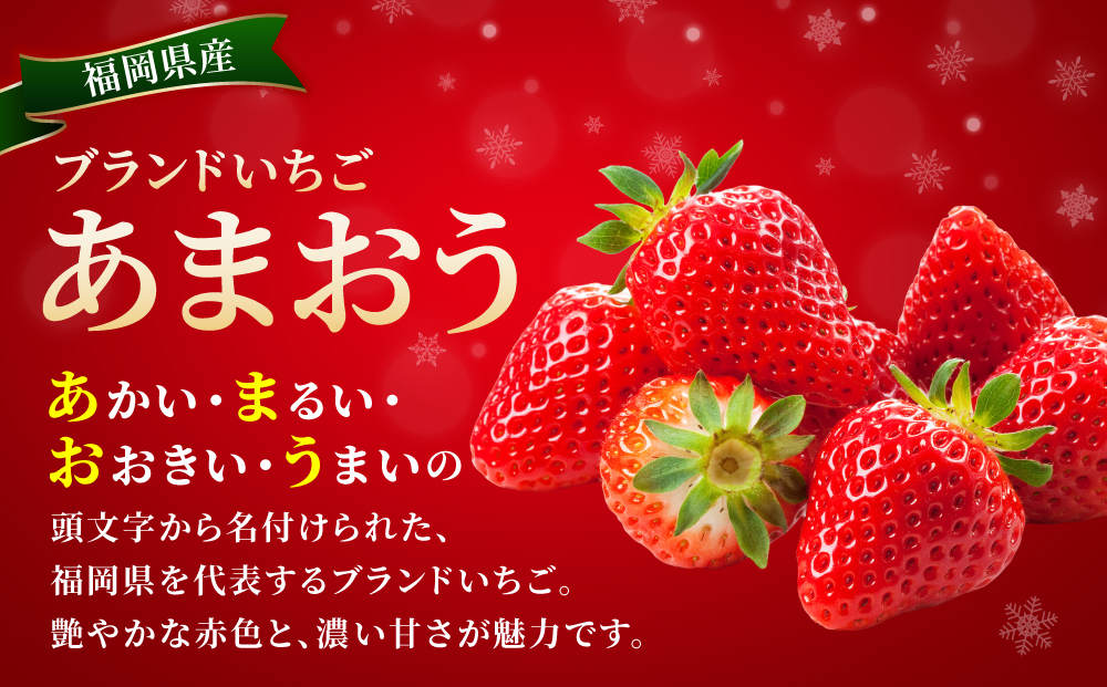 福岡県産あまおう2パック（約250g×2パック）| あまおう いちご 苺 イチゴ 福岡県産 福岡 国産 大粒 ブランドいちご フルーツ 果物 くだもの 甘い ジューシー 旬 冬 2パック（約250g×
