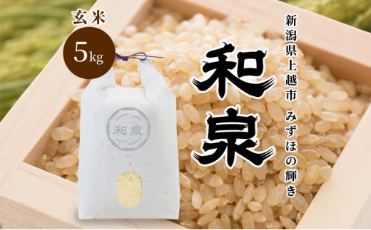 先行予約 玄米 令和8年 新潟県 上越産 みずほの輝き 5kg 5キロ 和泉 ワイズファーム 上越市  米 ギフト 喜ばれる