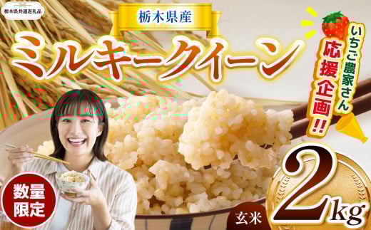 【栃木県共通返礼品】  訳あり 数量 限定 令和7年度産 ミルキークイーン 約 2kg | とちぎの星 ミルキークイーン にじのきらめき 玄米 白米 ごはん おいしい  ふるさと納税 那珂川町 栃木県
