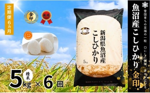 【 定期便 6ヶ月 】 高食味米 5kg × 6回 令和7年産 新米 魚沼産 コシヒカリ 金印 ( 一等米の中から厳選 ) | 白米 精米 米 お米 おこめ ブランド米 おすすめ 人気 新潟県 津南町