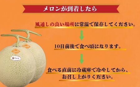 赤肉とろ甘メロン 2玉 【先行予約7月上旬～発送】 メロン