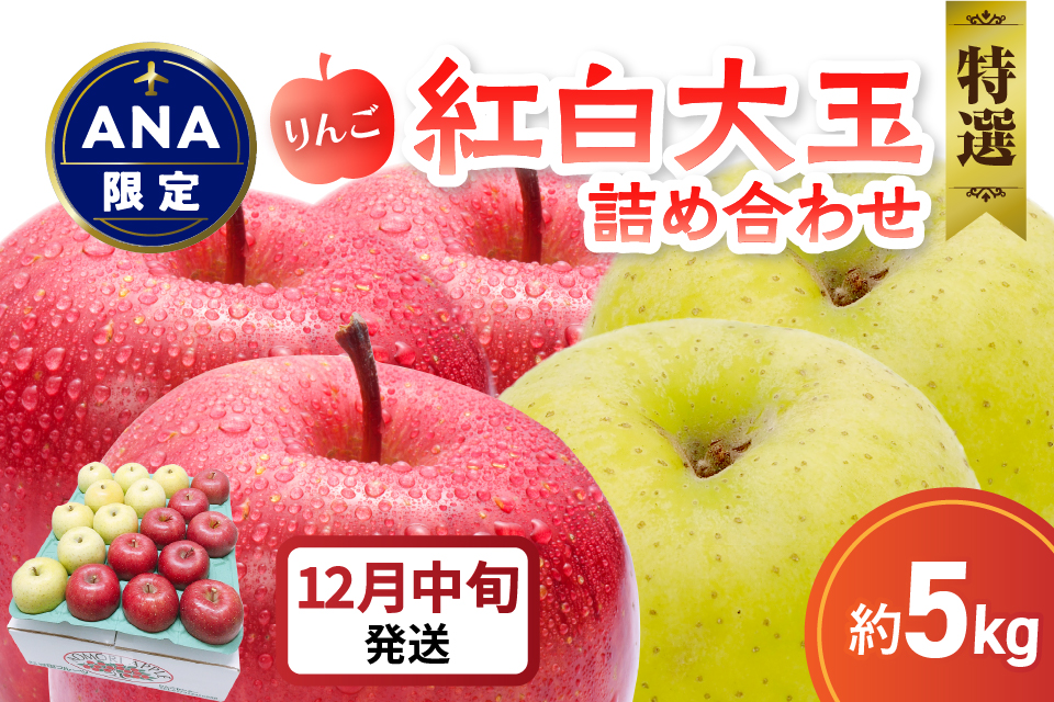 【ANA限定】【2025年12月中旬発送】 りんご 5kg 紅白の 大玉特選 詰め合わせ 青森