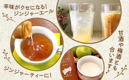 しょうがシロップ レモン 約235g×5本 セット【ジンジベル】[AYAD009]