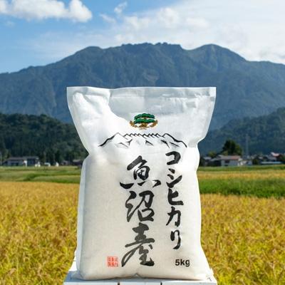 ふるさと納税 南魚沼市 【2025年8月上旬発送】南魚沼産コシ白米5kg 【栽培期間農薬を減らして作ったお米】令和6年産　 | 