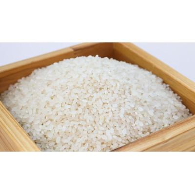 ふるさと納税 大田原市 【令和7年産】大田原産コシヒカリ 精米 5kg |  | 02