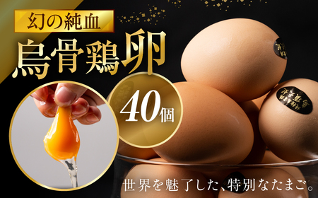 烏骨鶏卵 モールド 40個セット | 烏骨鶏 卵 たまご 烏骨鶏卵
