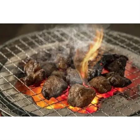 【毎月定期便】はかた地どり炭火焼セット500g(100g×5p)全12回_肉 地鶏 鶏肉   肉  鶏肉   定期便 定期便  _【配送不可地域：離島】【4054419】