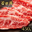 【ふるさと納税】 【若狭牛】上カルビ焼肉用450g 国産牛肉 北陸産 福井県産牛肉 若狭産　【 お肉 食材 最高級 和牛肉 きめ細やかなサシ 柔らかい肉質 甘み とろける おうち焼肉 】　お届け：2024年1月12日以降配送いたします。