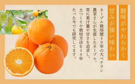 [先行予約] 和歌山県産ネーブル 約4kg　大玉（8個～9個）秀品 こだわり農家厳選 ［KG35］