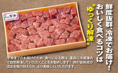 宮崎有田牧場直送 「この華牛 サイコロステーキ 500g」 自然豊かな牧場育ち 飼料にこだわり 水にこだわり ストレスフリーで育んだ [良質な牛 甘みのある脂 旨味たっぷりでコク深い肉質 贈答用 ギフ