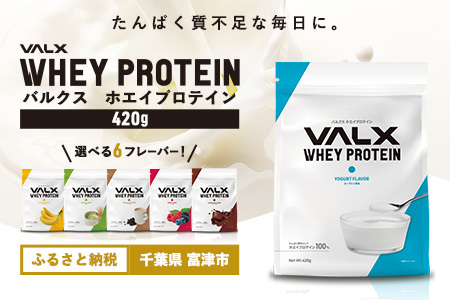 【最短5営業日以内発送】VALX ホエイプロテイン 420g ヨーグルト風味 プロテイン ヨーグルト