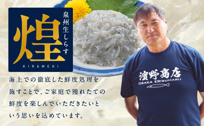 【スピード発送】新物！泉州生しらす「煌（きらめき）」300g【小分け 100g×3P 漁師直送 シラス 国産 無添加 産地直送 sirasu 海鮮 しらす 鰯 イワシ いわし】 G4023_イメージ2
