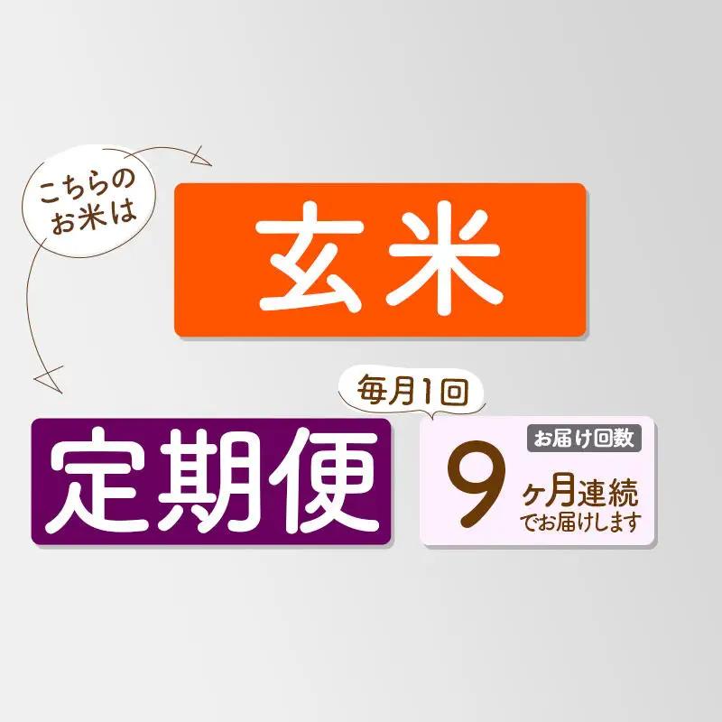 《新米》《定期便9ヶ月》【玄米】あきたこまち 一等米 20kg 秋田県産 令和8年産  こまちライン