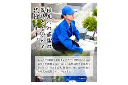 墓地のお掃除代行サービス 2回 