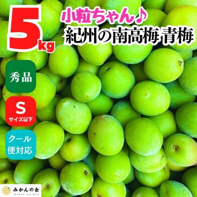 ふるさと納税 有田川町 南高梅 青梅 秀品 小粒ちゃん 5kg Sサイズ以下 和歌山県産 紀州有田 産地直送 クール便対応