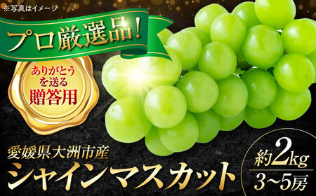 【先行予約】【9月上旬より順次発送】【贈答用】贈答用シャインマスカット約2kg（3から5房） 愛媛県大洲市/沢井青果有限会社[AGBN044] シャインマスカット シャインマスカット シャインマスカット シャインマスカット シャインマスカット 