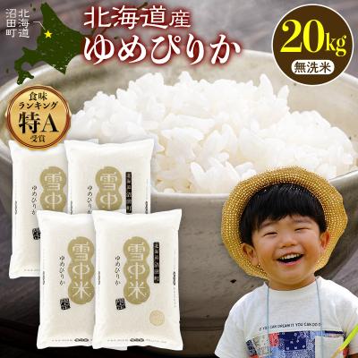 ふるさと納税 沼田町 令和8年産 特Aランク米 ゆめぴりか 無洗米 20kg(5kg×4袋)【12月発送】 nr-3024
