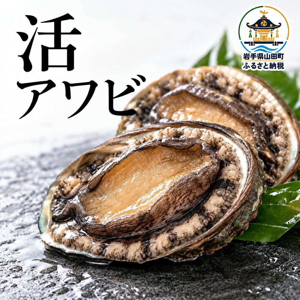 【ふるさと納税】【選べる容量】活アワビ 250g～1kg　（11月以降順次発送） | KI024