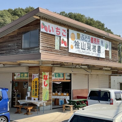 桧山果樹園の茨城県ブランド梨　恵水5kg【配送不可地域：離島・沖縄県】