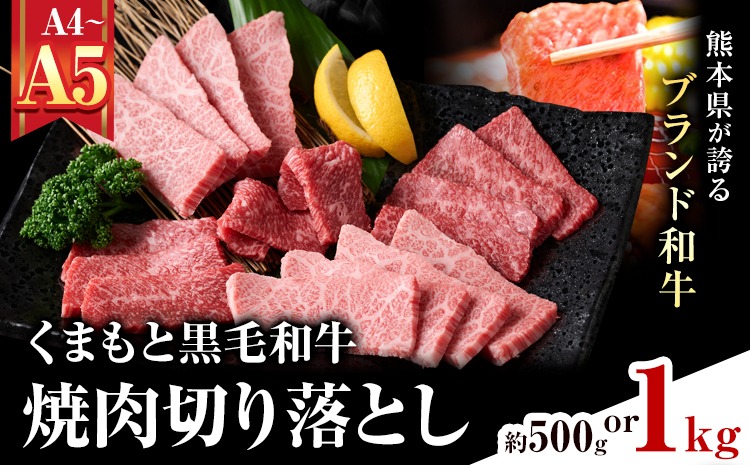 【A4～A5】くまもと黒毛和牛 焼肉切り落とし 選べる 内容量 約500g(500g×1p) 約1kg(500g×2p)《30日以内に出荷予定(土日祝除く)》熊本県 大津町 黒毛和牛 肉 お肉 和牛 牛 牛肉 A5 A4 焼肉 切り落とし MEAT PLUS---so_fmpkkyk_30d_25_13000_500g---