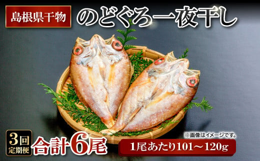 
のどぐろ一夜干し 2尾 【3回定期便】【1尾あたり101～120g 2尾 のどぐろ干物 6枚 のどぐろ ノドグロ あかむつ アカムツ 新鮮 干物 一夜干し 個包装 小分け 真空パック 冷凍 贈答 父の日 母の日】
