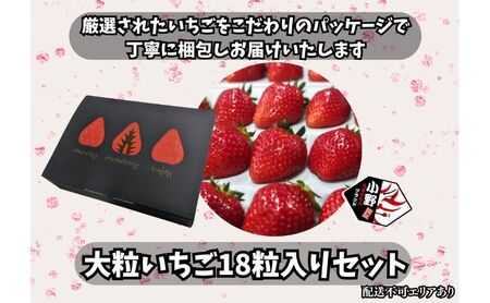 【予約受付】いちご 18粒入りセット 2026年1月以降順次発送予定[ イチゴ 苺 フルーツ 果物 新鮮 糖度 ] 果物類 大粒 