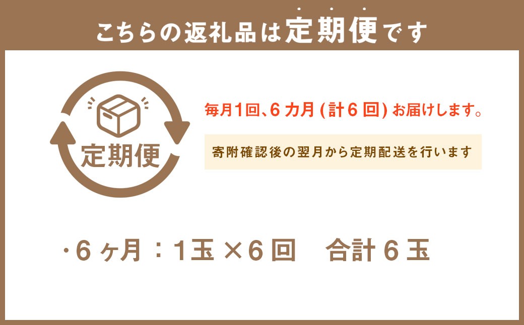 【6ヶ月定期便】静岡県産 高級 アローマメロン 小玉 1玉 約5.4kg以上 化粧箱入