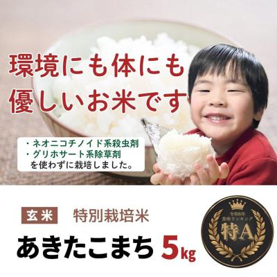 ふるさと納税 大仙市 米 令和7年産【特別栽培米】あきたこまち【精米】5kg|22_oks-110501 |  | 02
