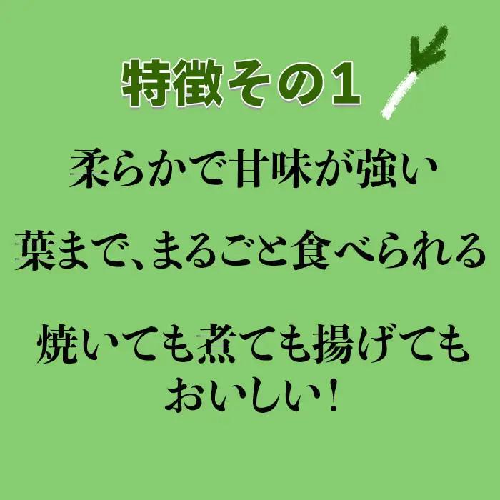 出雲神在（かみあり）ねぎ