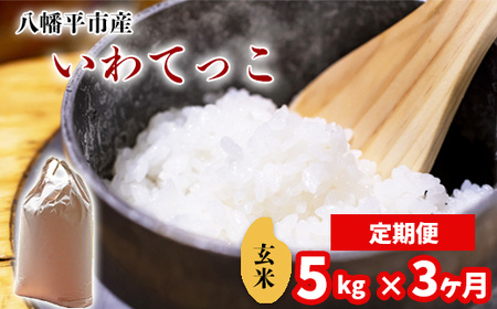 新米 先行予約 【令和8年産】 いわてっこ 玄米 5kg ×3ヶ月定期便 《2026年11月より順次発送開始予定》 ／ げんまい 岩手県産 中沢農産