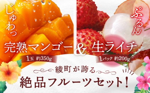 先行予約 数量限定 希少 完熟マンゴー 1玉 生ライチ 1パック セット マンゴー 宮崎 国産ライチ 果物 フルーツ くだもの 2027年 国産 高級 南国フルーツ 詰め合わせ おすすめ ギフト 贈り