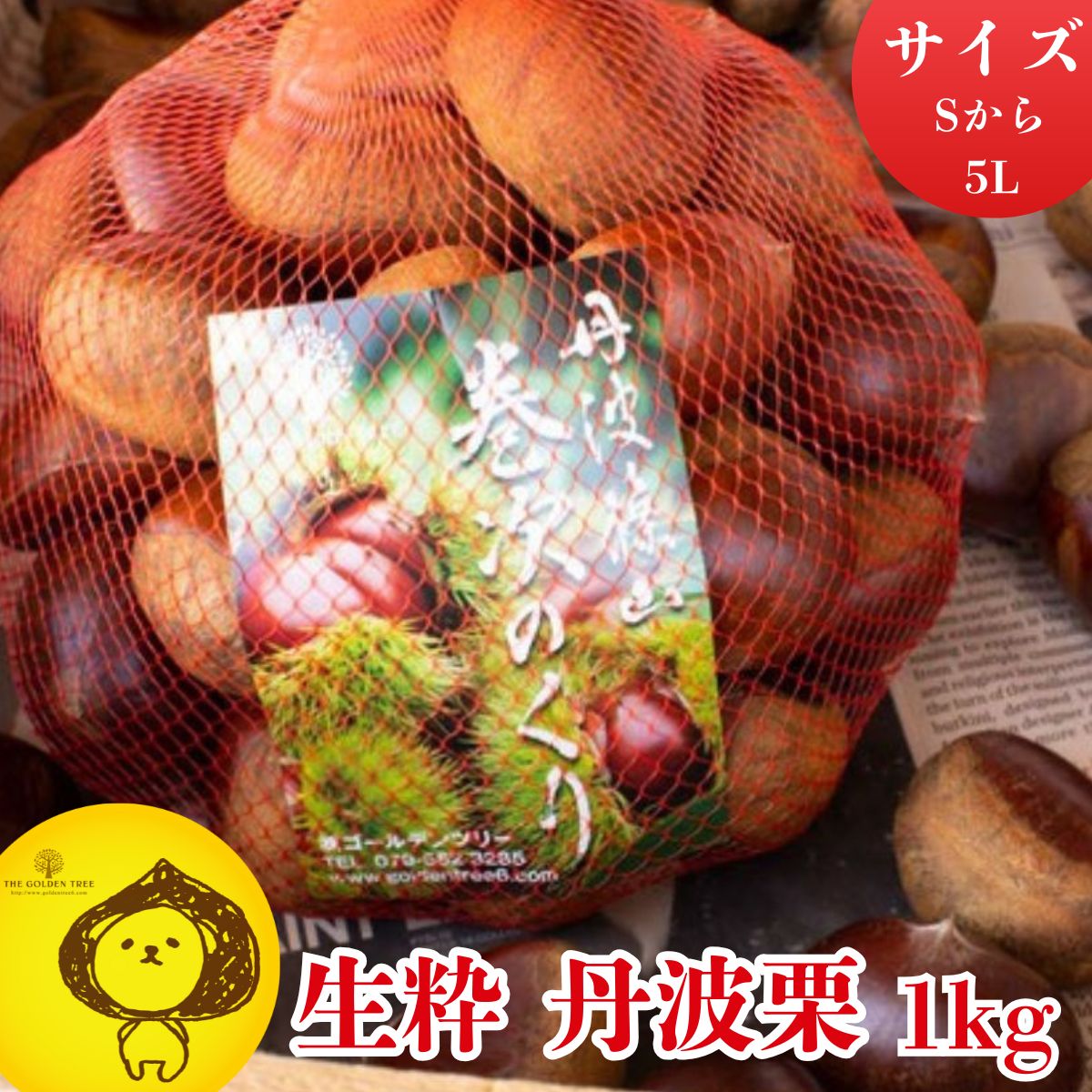 【ふるさと納税】【2025年10月中旬より発送】生粋丹波栗　巻次のくり 1kg | 兵庫県 丹波篠山市 プレミアム栗 期間限定 お取り寄せグルメ 高級 特産品 名産品 マロン 関西 西日本
